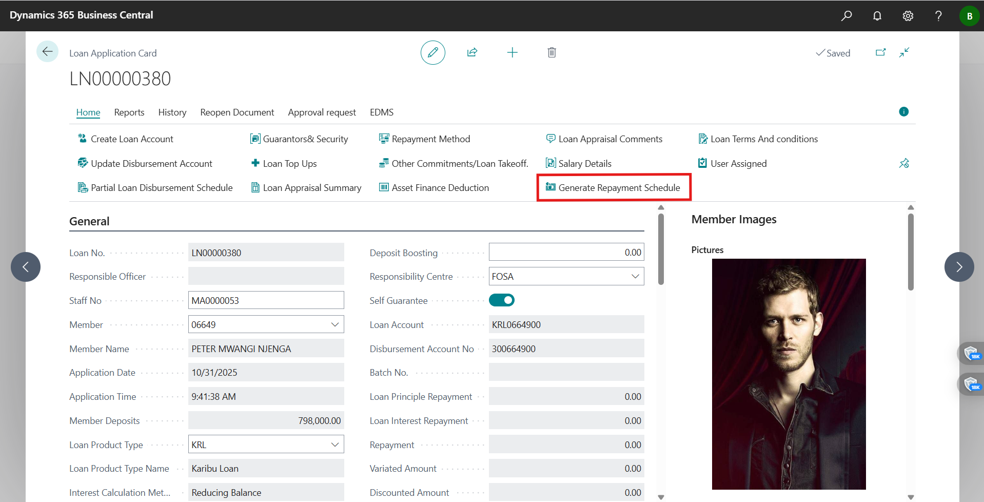 Generate Payment Schedule dialog